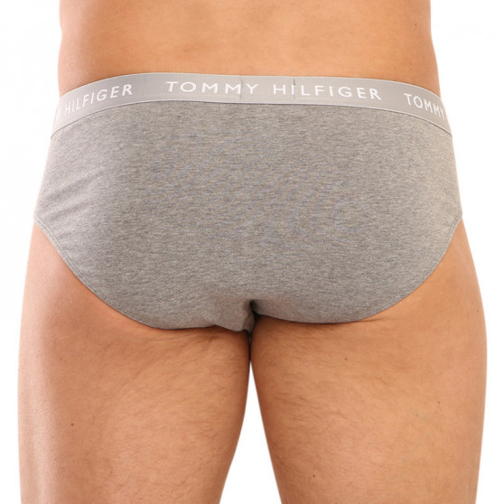 3PACK slip uomo Tommy Hilfiger multicolore (UM0UM02328 0AH)