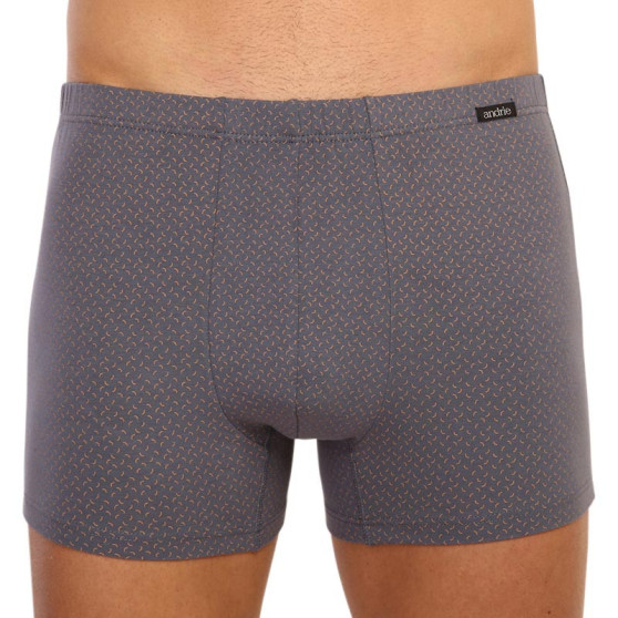 Boxer da uomo Andrie grigio (PS 5596 B)