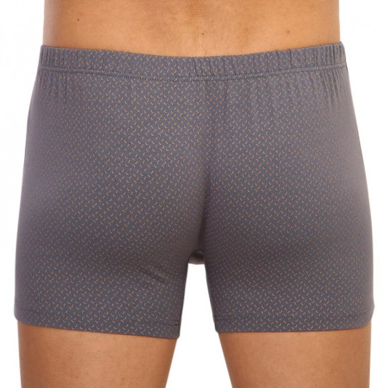 Boxer da uomo Andrie grigio (PS 5596 B)