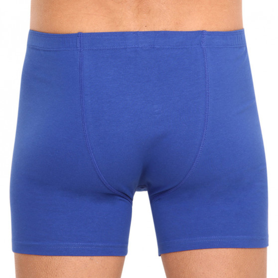 Boxer da uomo Gino blu (74140)