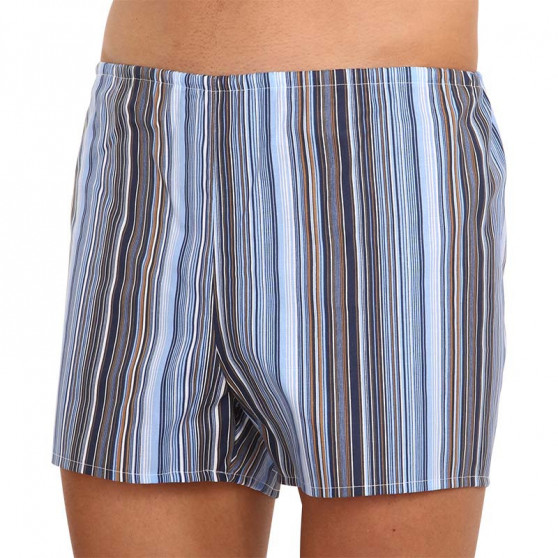 Boxer classici da uomo Foltýn blu con strisce