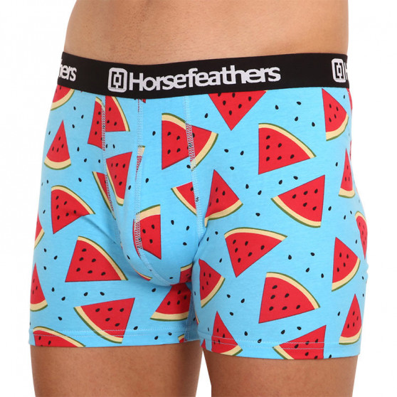 Boxer da uomo Horsefeathers Sidney Melon (AM164B)