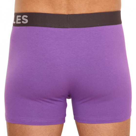 Boxer da uomo Dedoles viola (GMBMT1186)