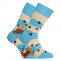 Happy Socks Dedoles Cani e strisce (GMRS123)