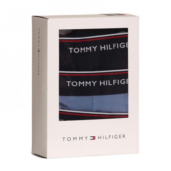 3PACK boxer uomo Tommy Hilfiger multicolore (1U87903842 0TU)