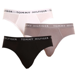 3PACK slip uomo Tommy Hilfiger multicolore (UM0UM02206 0TG)