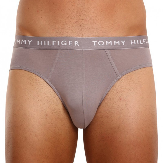 3PACK slip uomo Tommy Hilfiger multicolore (UM0UM02206 0TG)