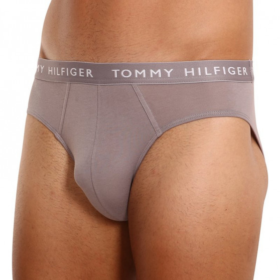 3PACK slip uomo Tommy Hilfiger multicolore (UM0UM02206 0TG)