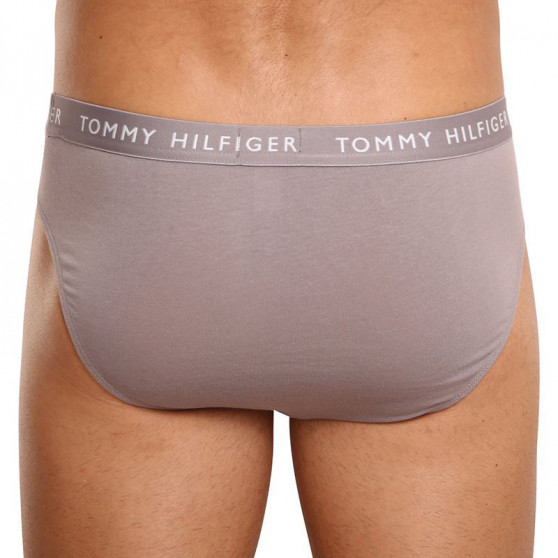 3PACK slip uomo Tommy Hilfiger multicolore (UM0UM02206 0TG)