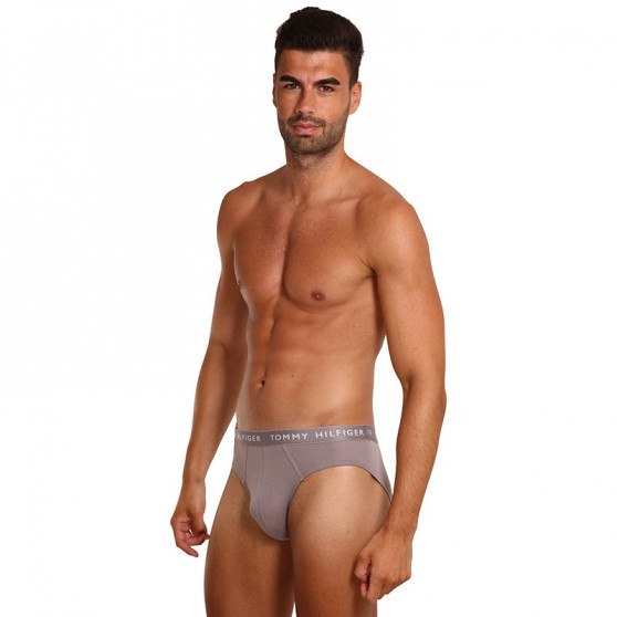 3PACK slip uomo Tommy Hilfiger multicolore (UM0UM02206 0TG)