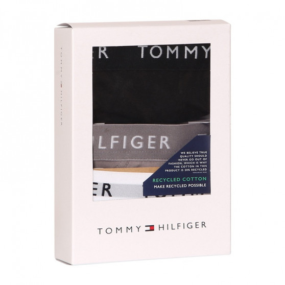 3PACK slip uomo Tommy Hilfiger multicolore (UM0UM02206 0TG)