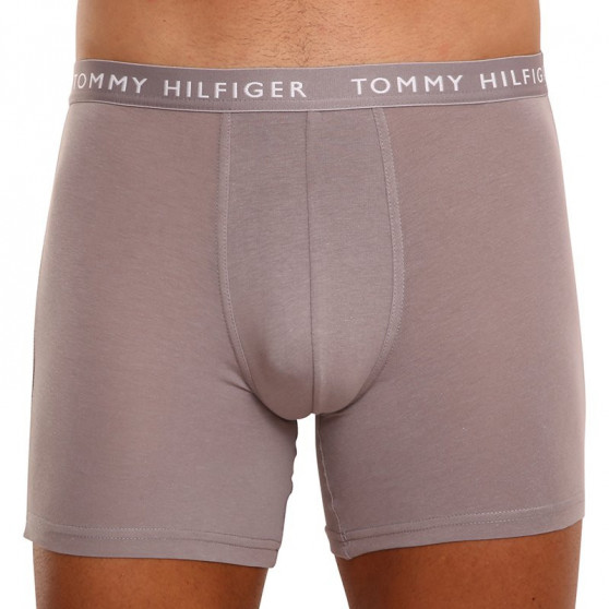 3PACK boxer uomo Tommy Hilfiger multicolore (UM0UM02204 0TG)