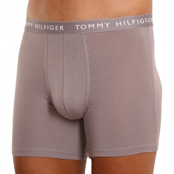 3PACK boxer uomo Tommy Hilfiger multicolore (UM0UM02204 0TG)