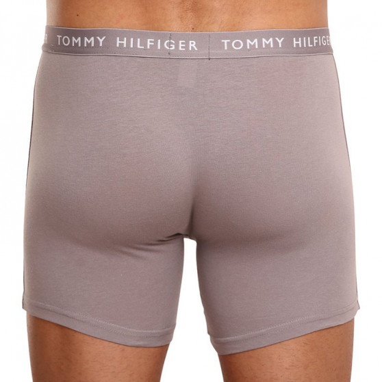 3PACK boxer uomo Tommy Hilfiger multicolore (UM0UM02204 0TG)