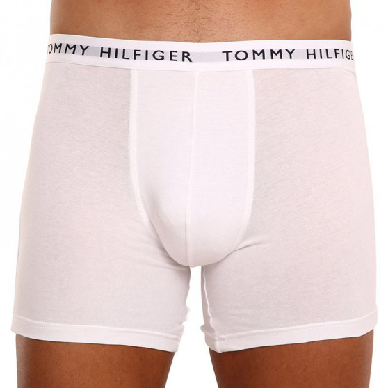 3PACK boxer uomo Tommy Hilfiger multicolore (UM0UM02204 0TG)