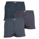 3PACK Boxer da uomo Andrie multicolore (PS 5627)