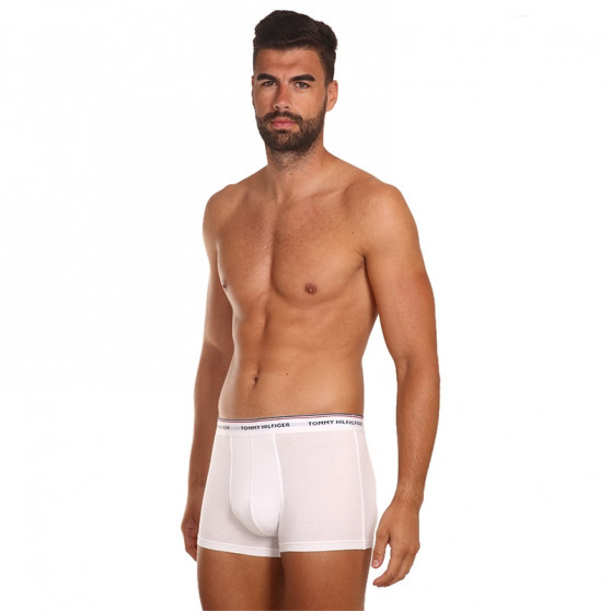 3PACK boxer uomo Tommy Hilfiger multicolore (1U87903842 004)