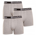 3PACK Boxer da uomo Horsefeathers Dynasty grigio erica (AM067C)