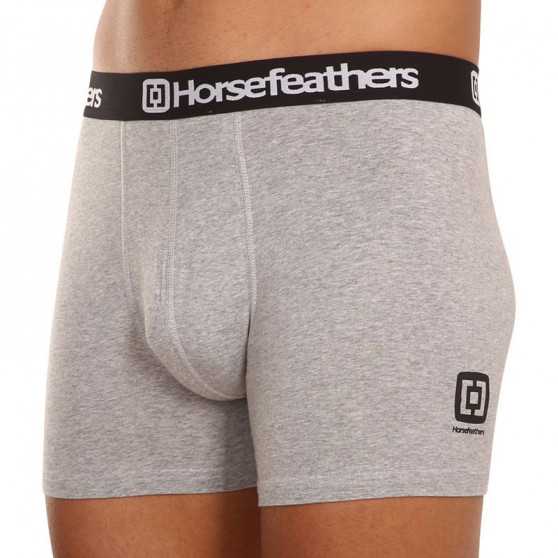 3PACK Boxer da uomo Horsefeathers Dynasty grigio erica (AM067C)