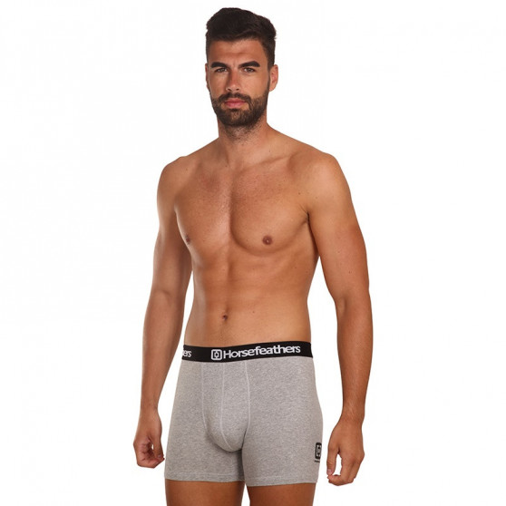 3PACK Boxer da uomo Horsefeathers Dynasty grigio erica (AM067C)