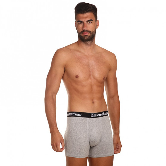 3PACK Boxer da uomo Horsefeathers Dynasty grigio erica (AM067C)