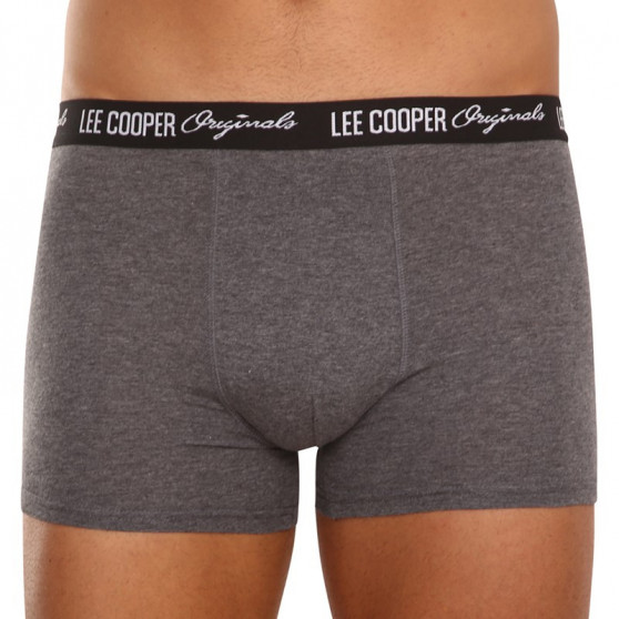 10PACK boxer uomo Lee Cooper multicolore (LCUBOX10P0102-1440169)