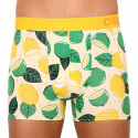 Allegri boxer da uomo Dedoles Lime e limone (D-M-UN-T-C-C-1563)