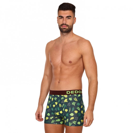 Allegri boxer da uomo Dedoles Forest Lodge (D-M-UN-T-C-C-1375)