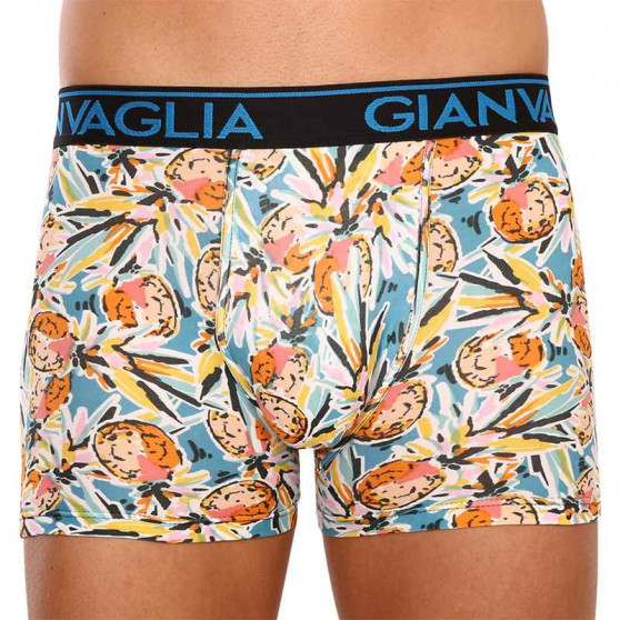 3PACK boxer uomo Gianvaglia multicolore (GVG-5502)