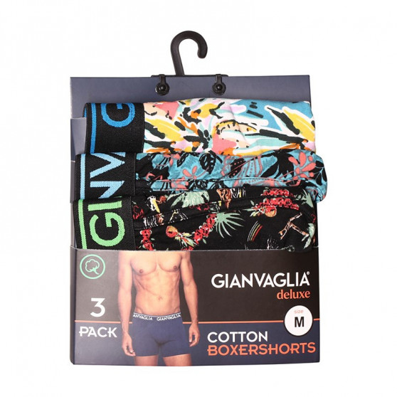 3PACK boxer uomo Gianvaglia multicolore (GVG-5502)