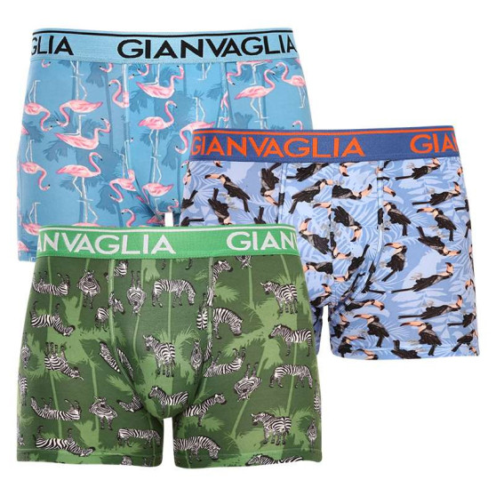 3PACK boxer uomo Gianvaglia multicolore (GVG-5501)