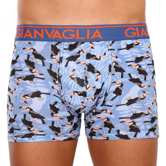 3PACK boxer uomo Gianvaglia multicolore (GVG-5501)