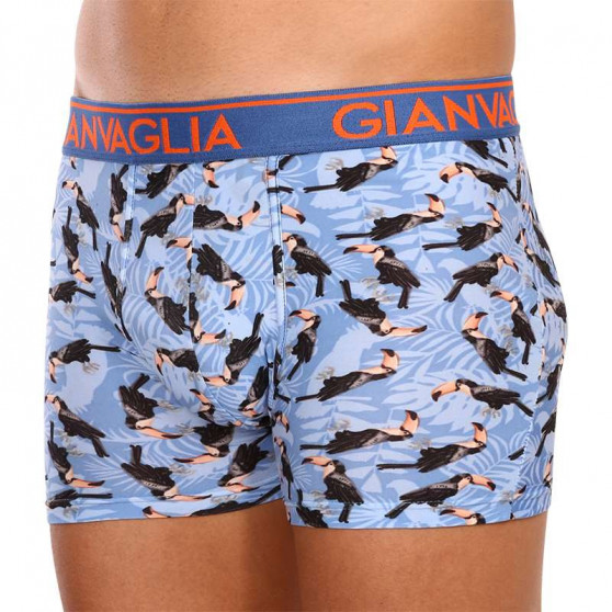 3PACK boxer uomo Gianvaglia multicolore (GVG-5501)