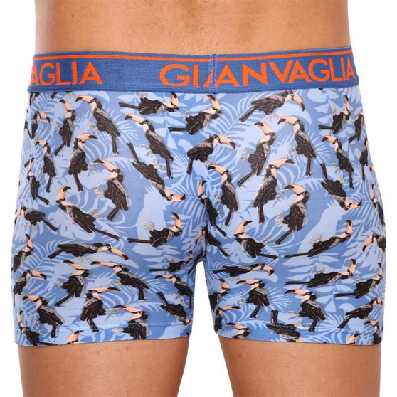 3PACK boxer uomo Gianvaglia multicolore (GVG-5501)