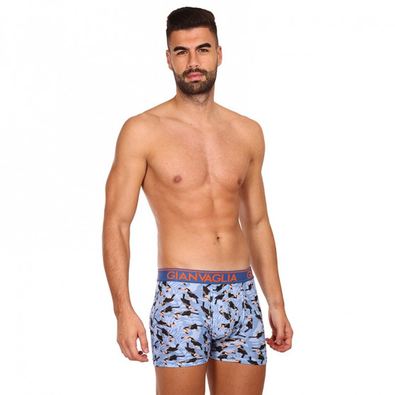 3PACK boxer uomo Gianvaglia multicolore (GVG-5501)