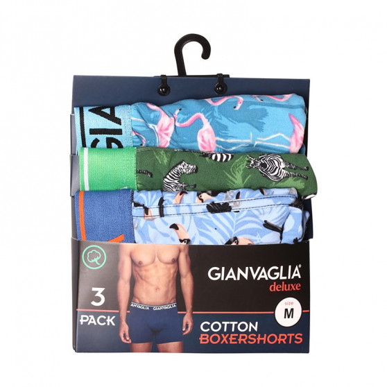 3PACK boxer uomo Gianvaglia multicolore (GVG-5501)