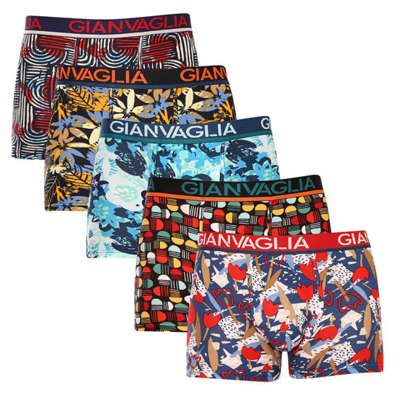 5PACK boxer uomo Gianvaglia multicolore (GVG-5063)