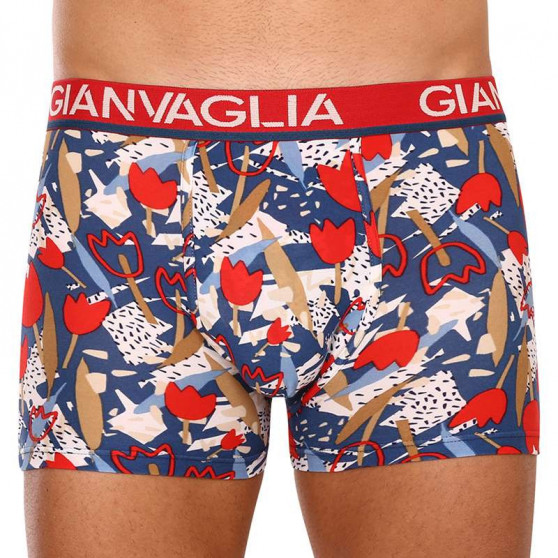 5PACK boxer uomo Gianvaglia multicolore (GVG-5063)