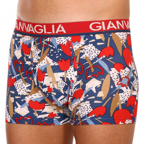 5PACK boxer uomo Gianvaglia multicolore (GVG-5063)