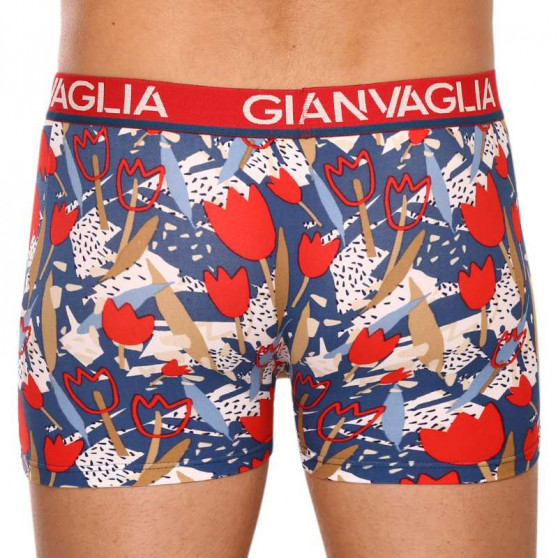 5PACK boxer uomo Gianvaglia multicolore (GVG-5063)