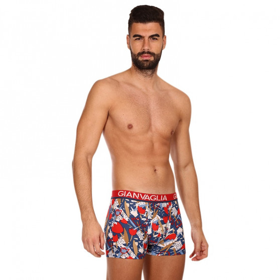 5PACK boxer uomo Gianvaglia multicolore (GVG-5063)