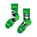 Calzini per bambini felici Dedoles Pandas e cinture (D-K-SC-RS-C-C-249)