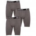 3PACK Boxer da uomo Horsefeathers Dynasty lungo (AM195B)