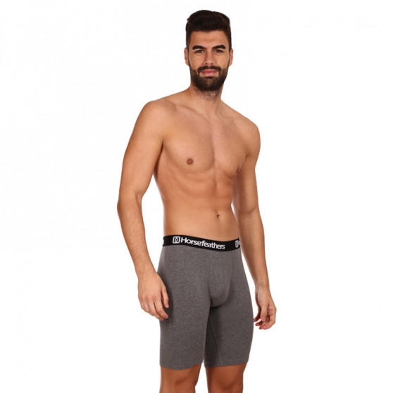 3PACK Boxer da uomo Horsefeathers Dynasty lungo (AM195B)