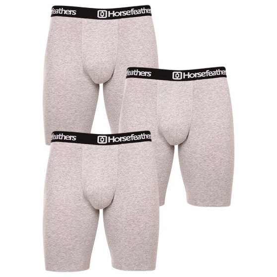 3PACK Boxer da uomo Horsefeathers Dynasty lungo (AM195C)