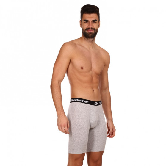 3PACK Boxer da uomo Horsefeathers Dynasty lungo (AM195C)