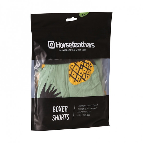 Boxer da uomo Horsefeathers Frazier ananas (AM166D)