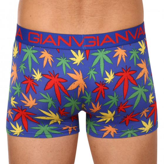 Boxer da uomo Gianvaglia multicolore (GVG-5058-blue)