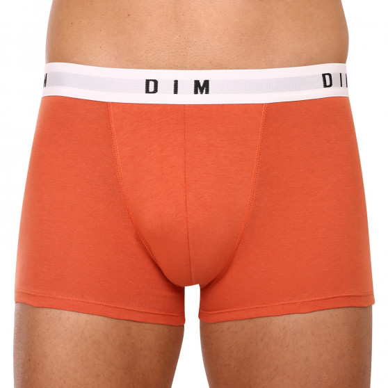 2PACK boxer uomo DIM multicolore (DI000ARL-9UV)