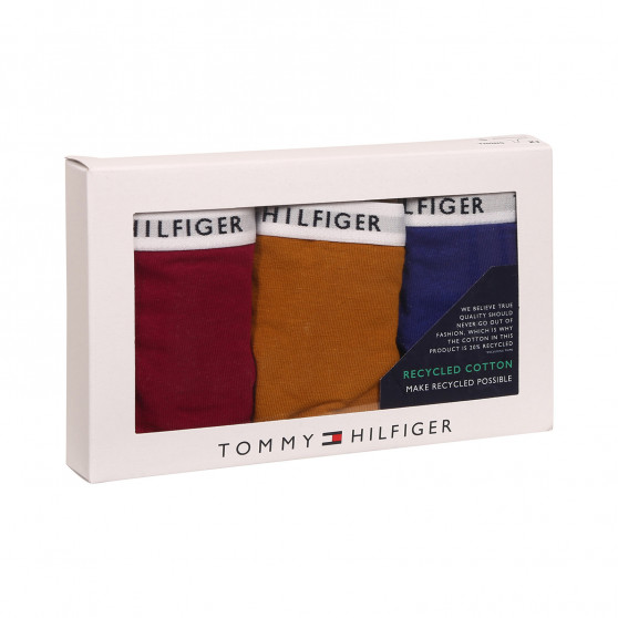 3PACK infradito donna Tommy Hilfiger multicolore (UW0UW02829 0XH)